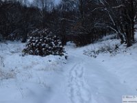 2025-12-27 Il Costone 047